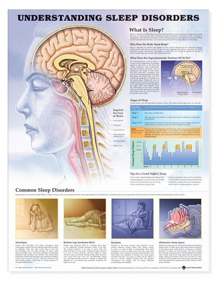 Understanding sleep disorders: a guide to insomnia and more