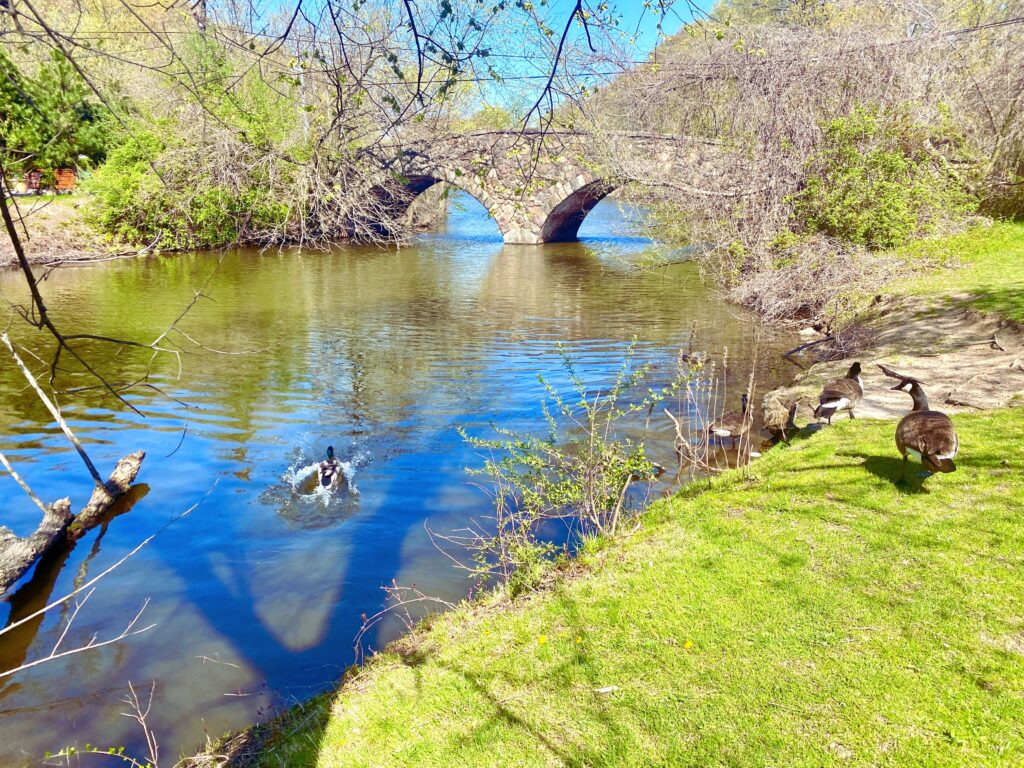 West brighton neighborhood in staten island ny