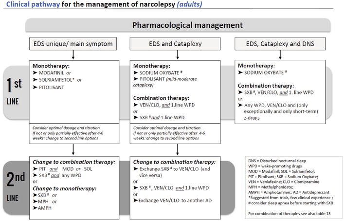 Cures for narcolepsy: a comprehensive approach to restful sleep