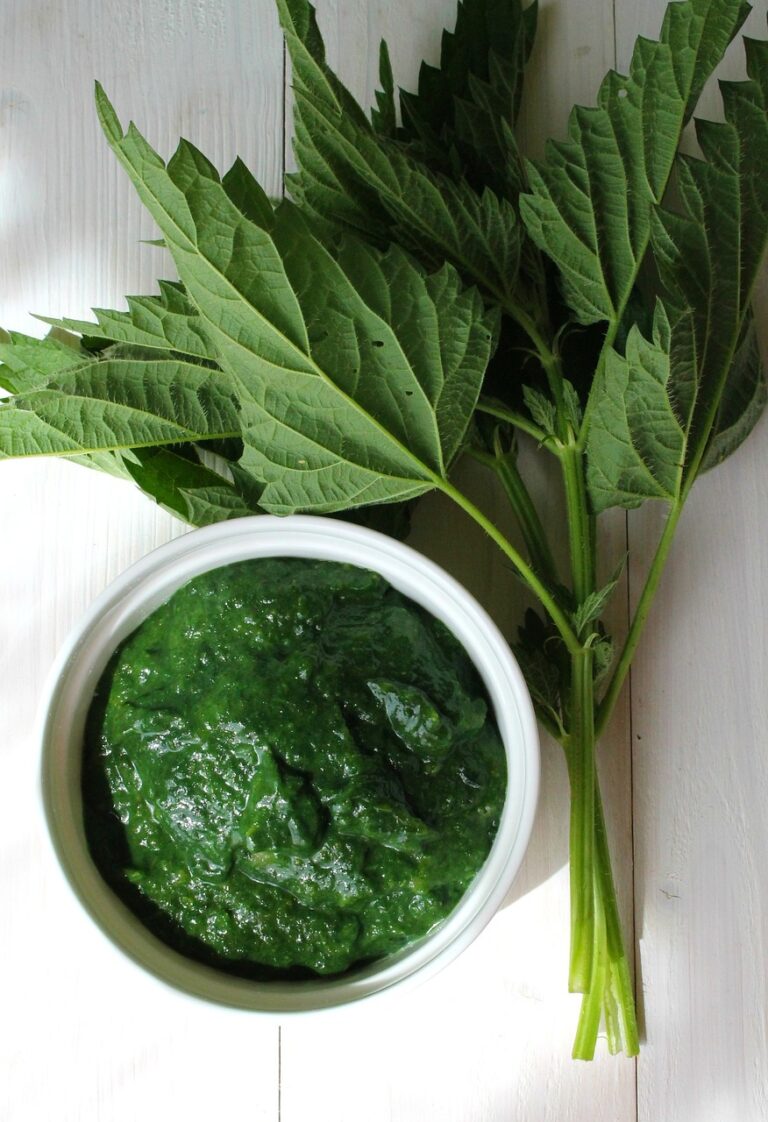 A bowl of green sauce next to a plant