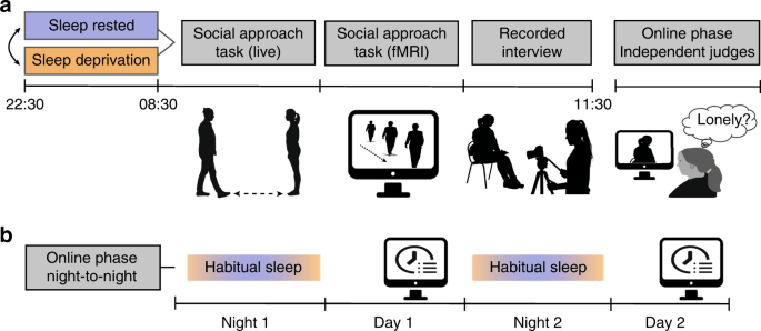 Understanding the impact of sleep disorders: vector sleep clinic offers solutions