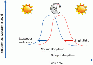 Understanding the link: delayed phase sleep syndrome and sleep disorders