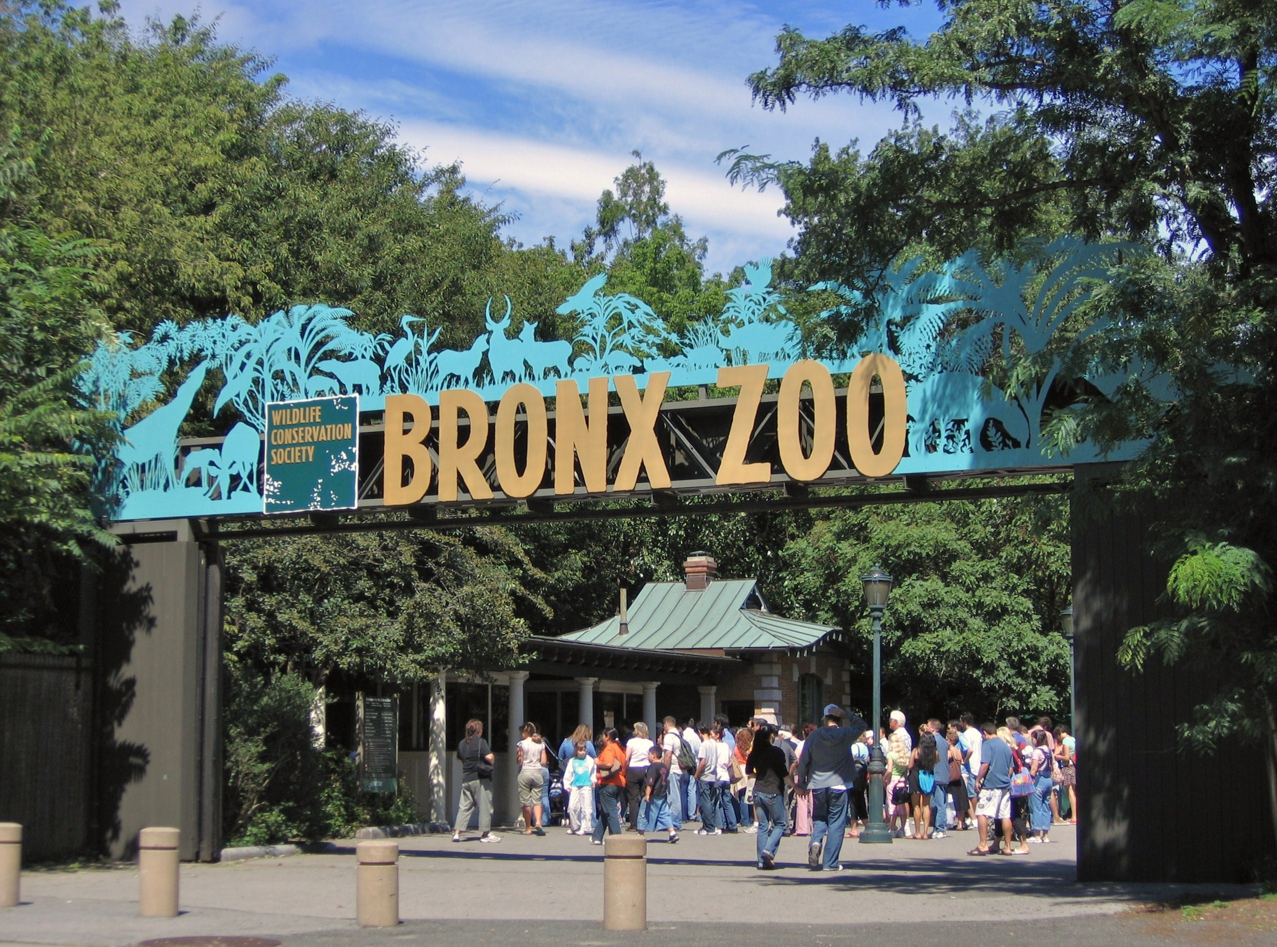 Explore the bronx zoo