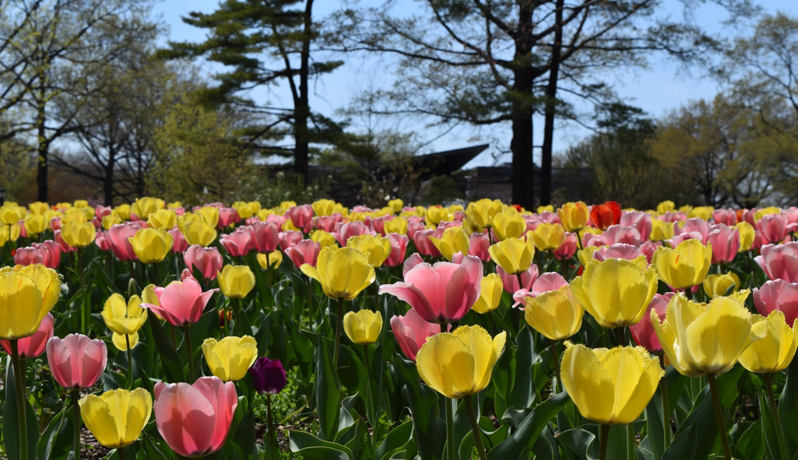 Explore the queens botanical garden