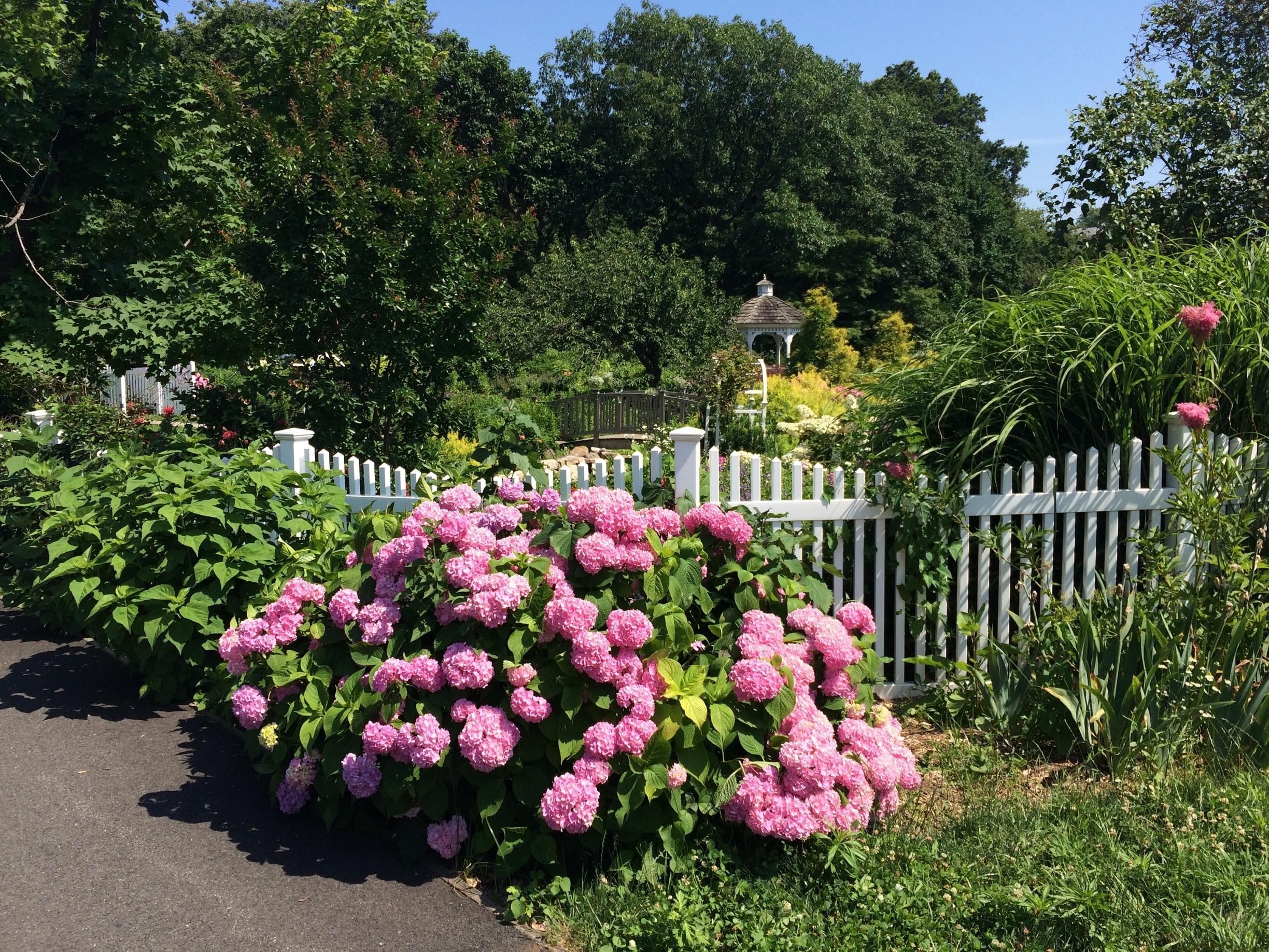 Explore the queens botanical garden