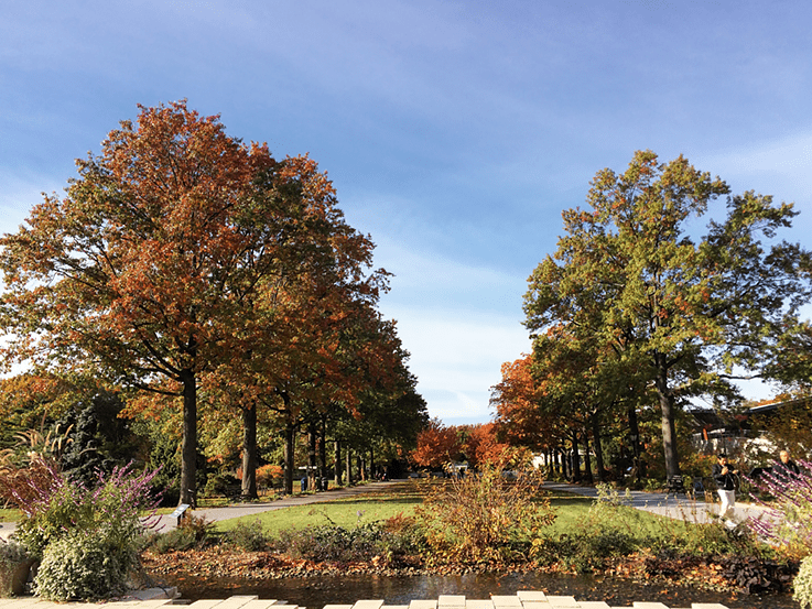 Explore the queens botanical garden