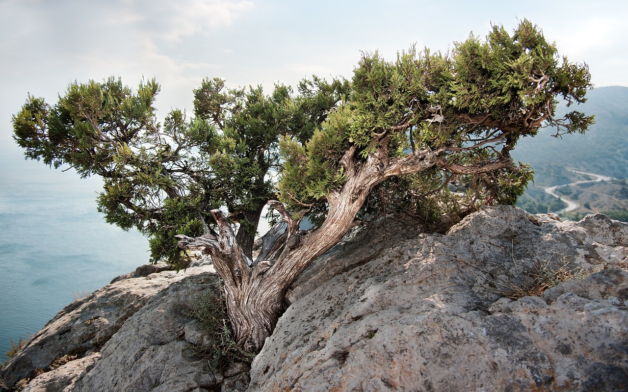 Unwind at juniper valley park