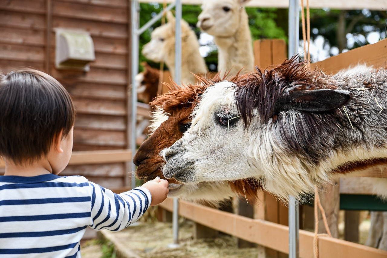 Visit the staten island zoo