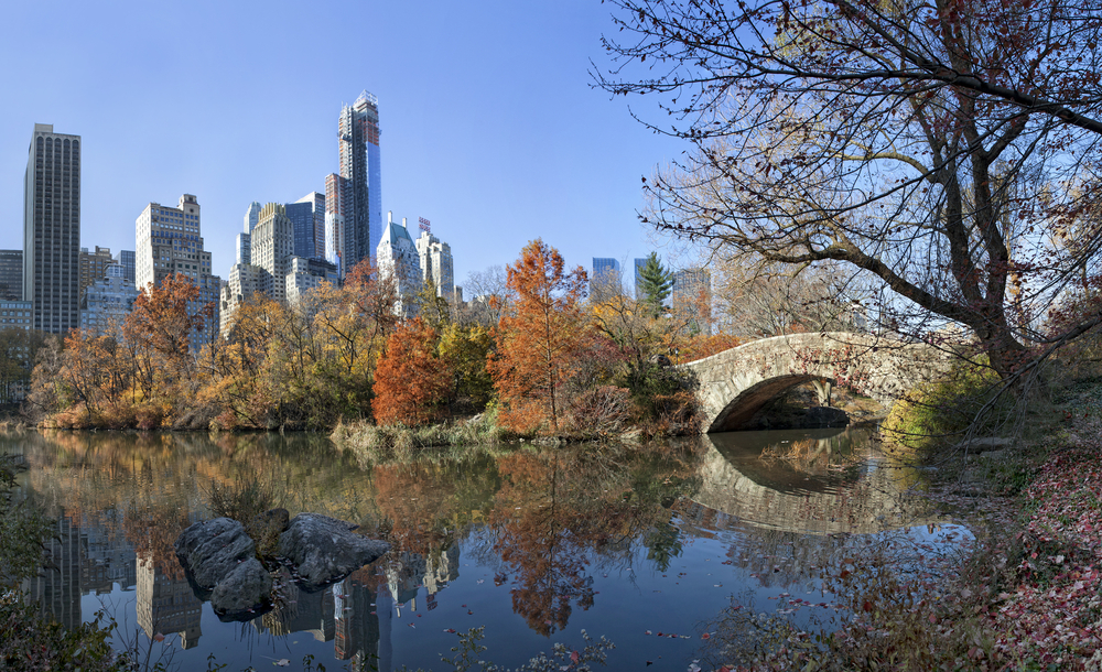 Walk through central park