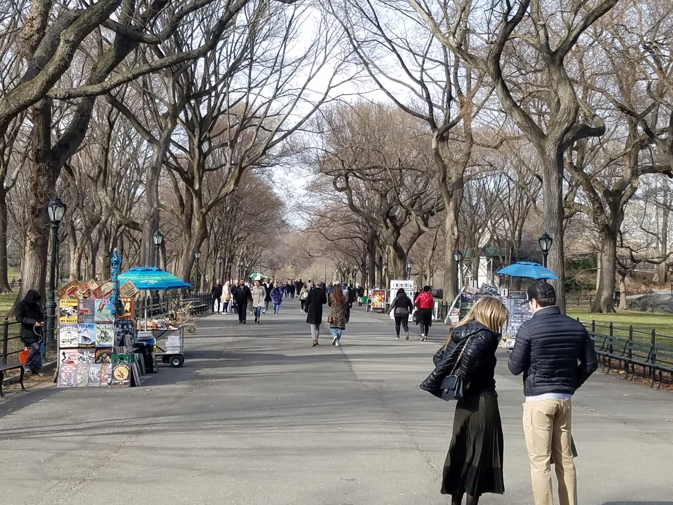 Walk through central park