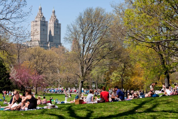 Walk through central park