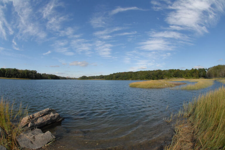 A body of water with rocks and grass