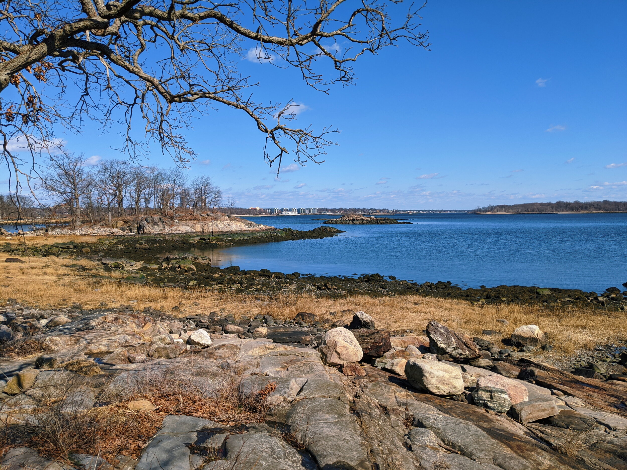 Discover pelham bay park