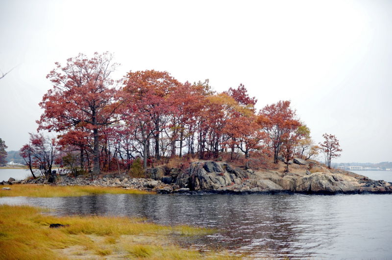 Discover pelham bay park