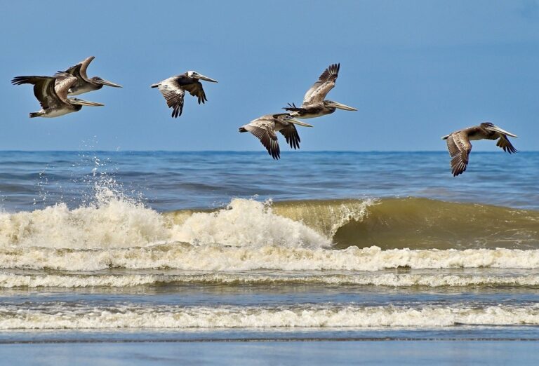 Relax at rockaway beach