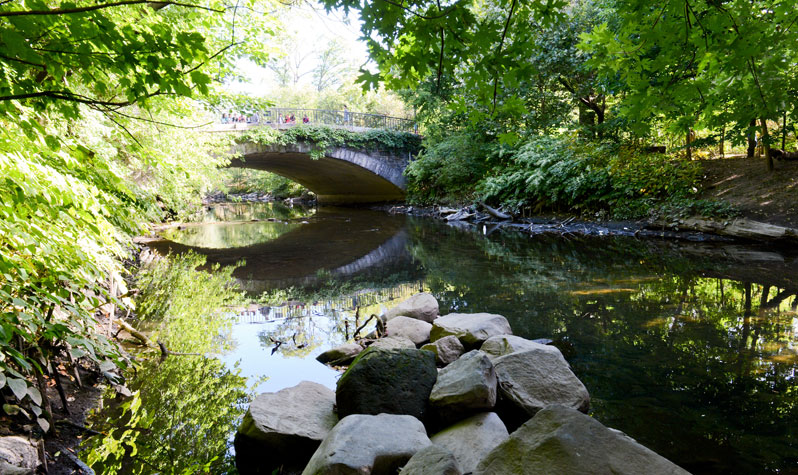 See the bronx river greenway