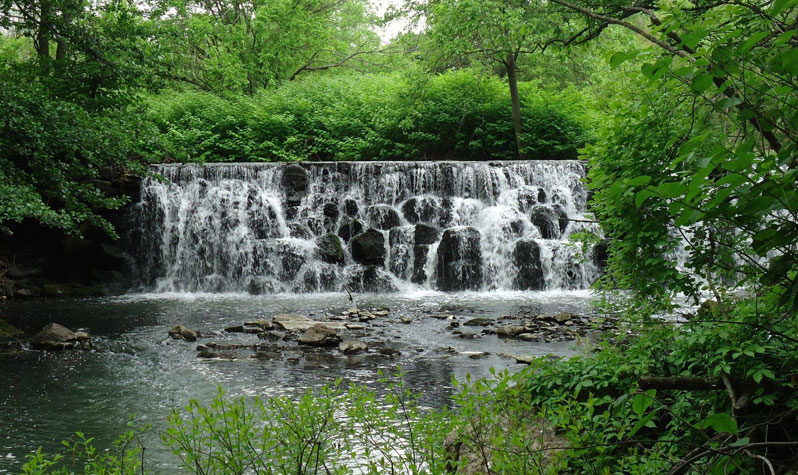 See the bronx river greenway