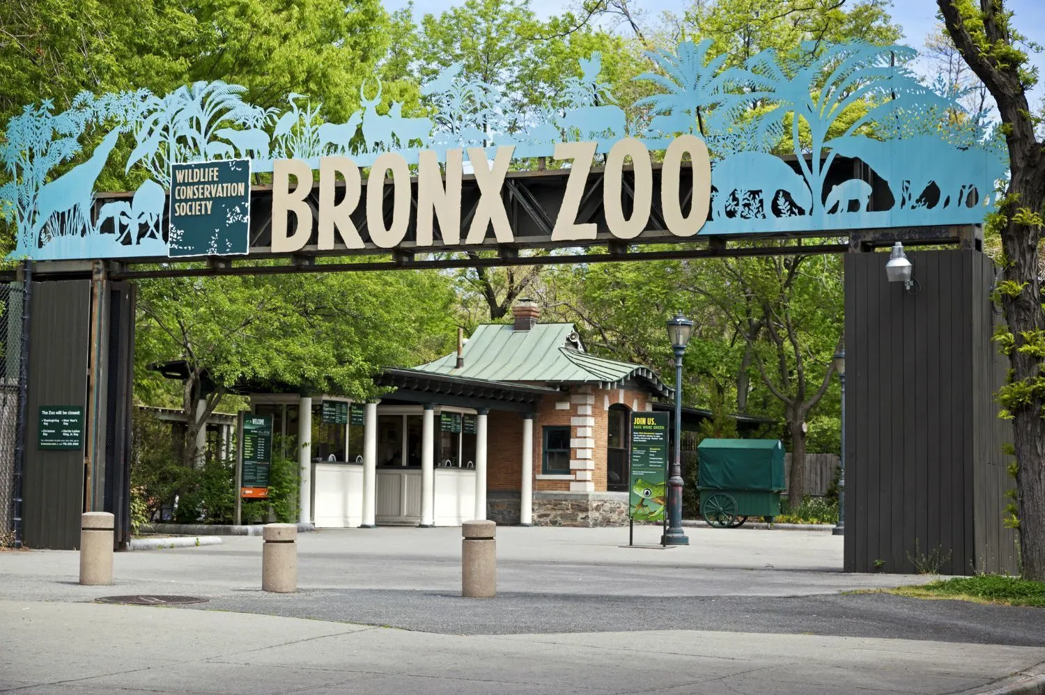 Bronx zoo