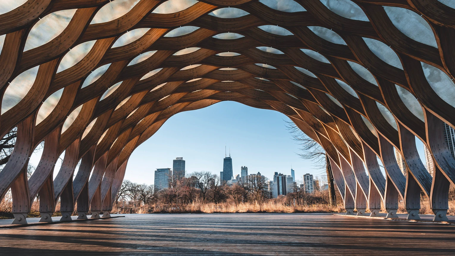 Lincoln park -