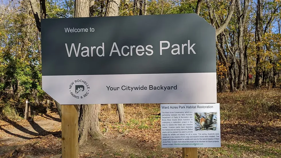 Ward acres park in new rochelle, ny