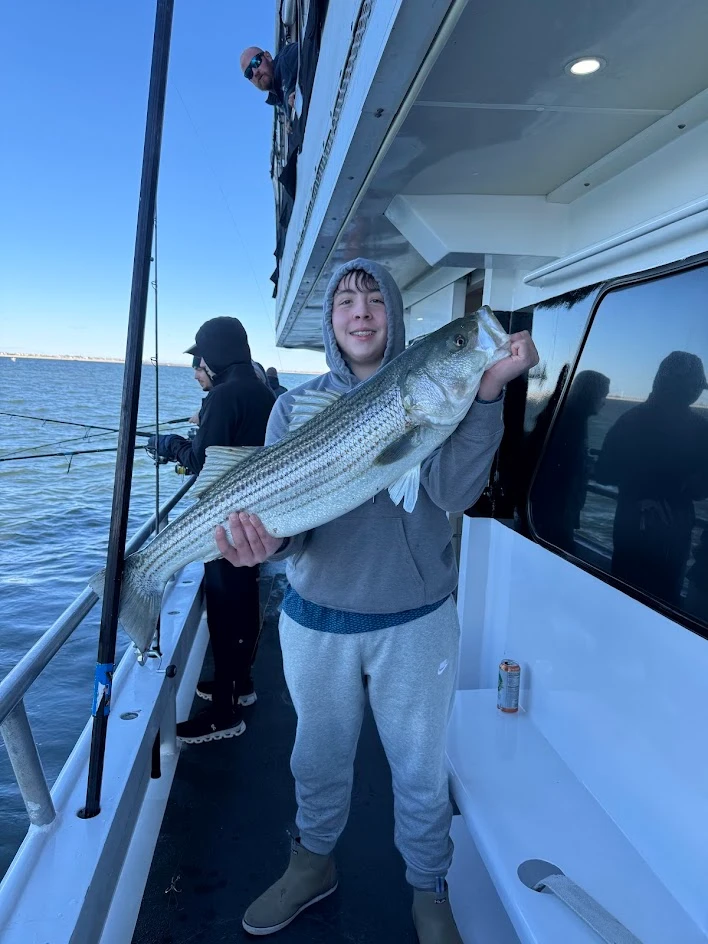 Trusted Sleep Disorder Center For Patients In Long Beach, Ny 15 Lido beach wildlife preserve -