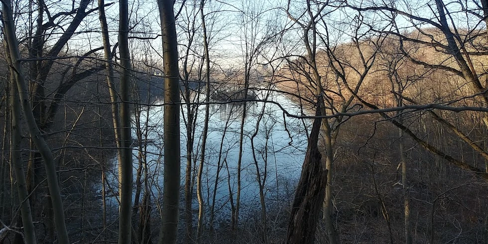 Full Service Sleep Disorder Center Serving White Plains, Ny 14 Silver lake preserve -