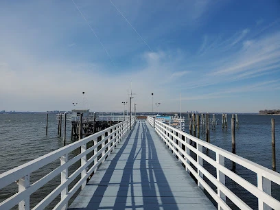 Leading Sleep Disorder Services In Great Neck, Ny 10 Steppingstone park -