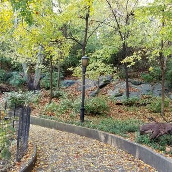 Top-Rated Sleep Diagnostic Center In Inwood, Ny 15 Isham street parks -