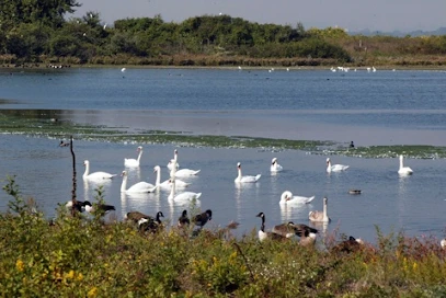 Best Sleep Disorder Services In Queens, Ny 15 Jamaica bay wildlife refuge -